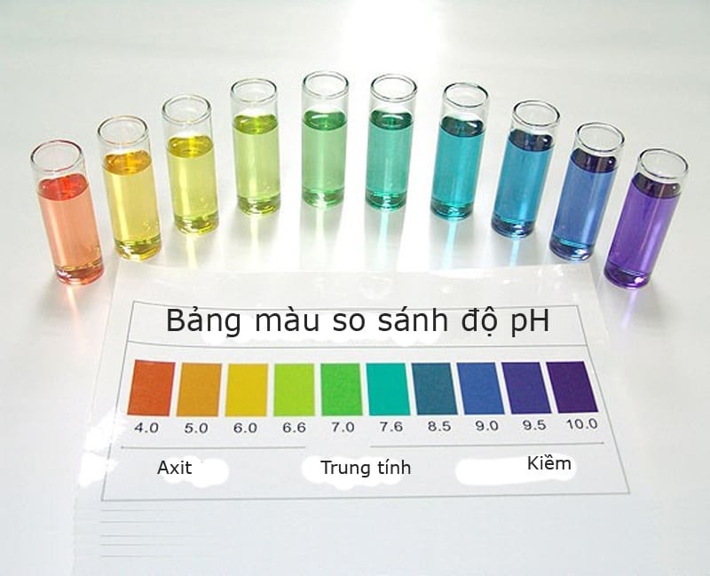 Lợi ích của việc theo dõi độ pH trong nước là gì?  