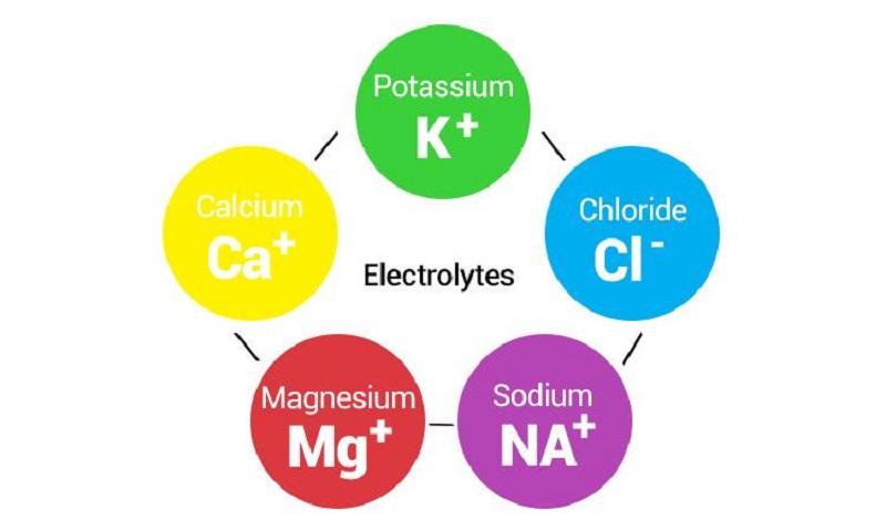 Chất điện giải được hiểu là sự góp mặt của những khoáng chất có điện tích tìm thấy ở trong máu